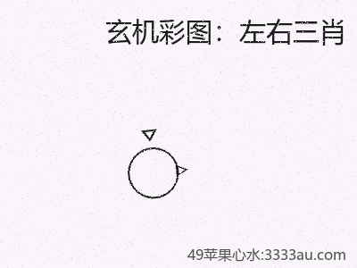 案例分析：左右三肖的未来方向 缩略图